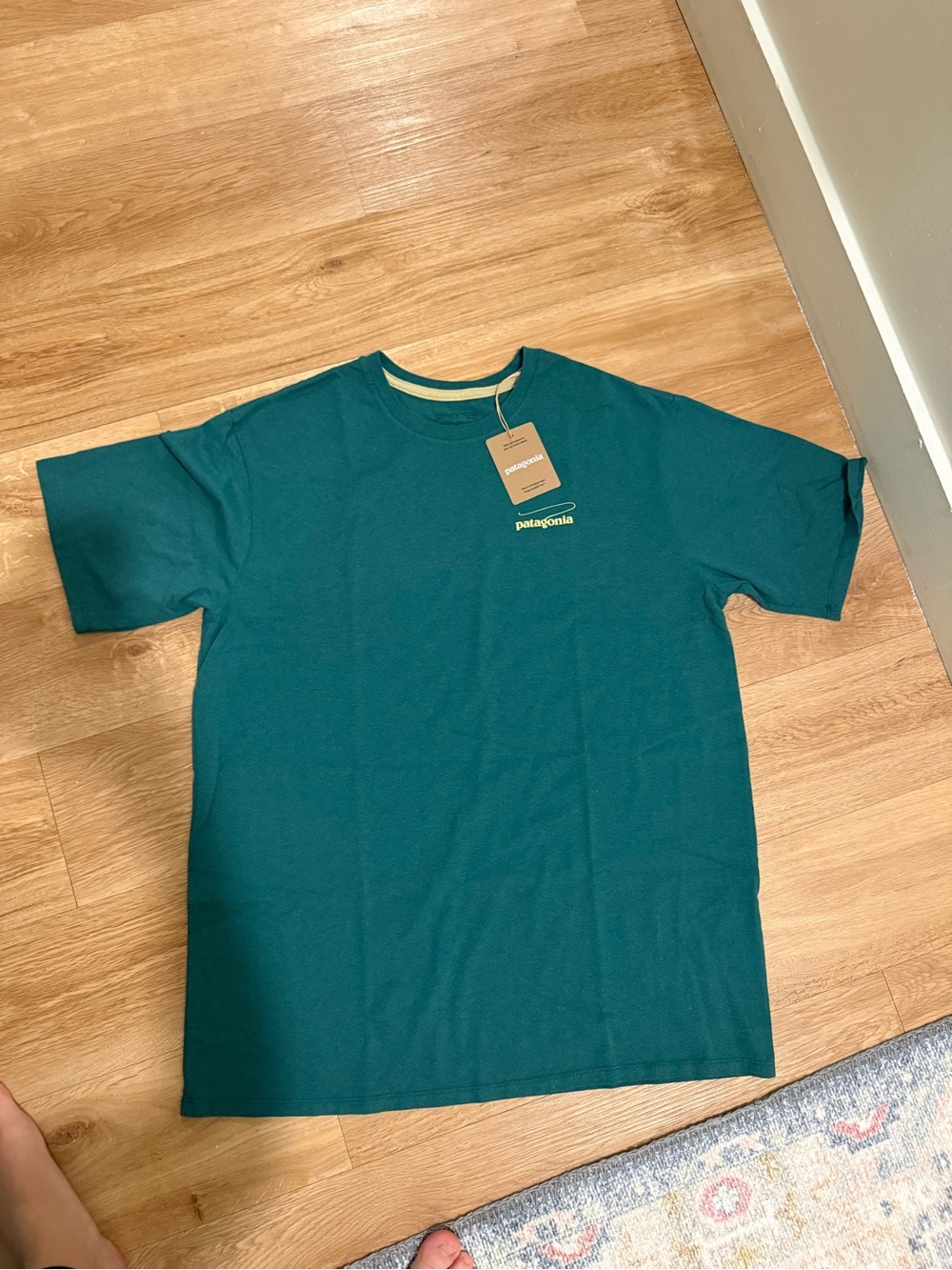 Patagonia Teal Short Sleeve Logo Tee